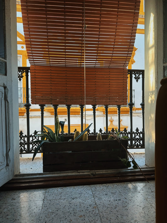 Vlog Sevilla episode 5